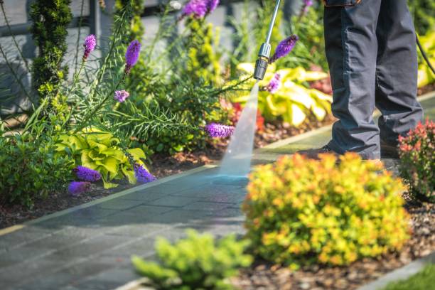 Best Fence Cleaning  in London, CA