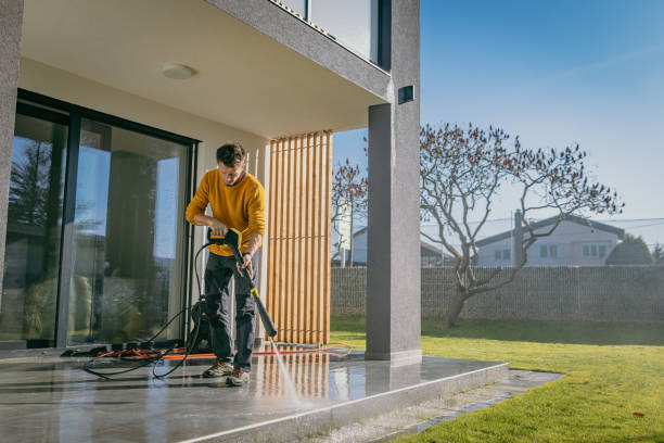 Solar Panel Cleaning in London, CA