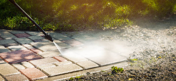 Best Roof Washing  in London, CA